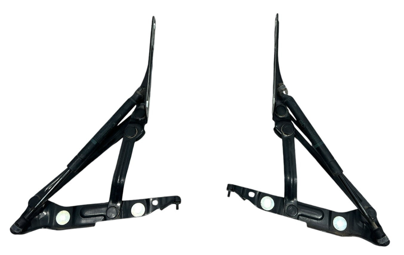 2008-2009 Pontiac G8 Trunk Deck Lid Hinge SET L&R Hinges - BLACK