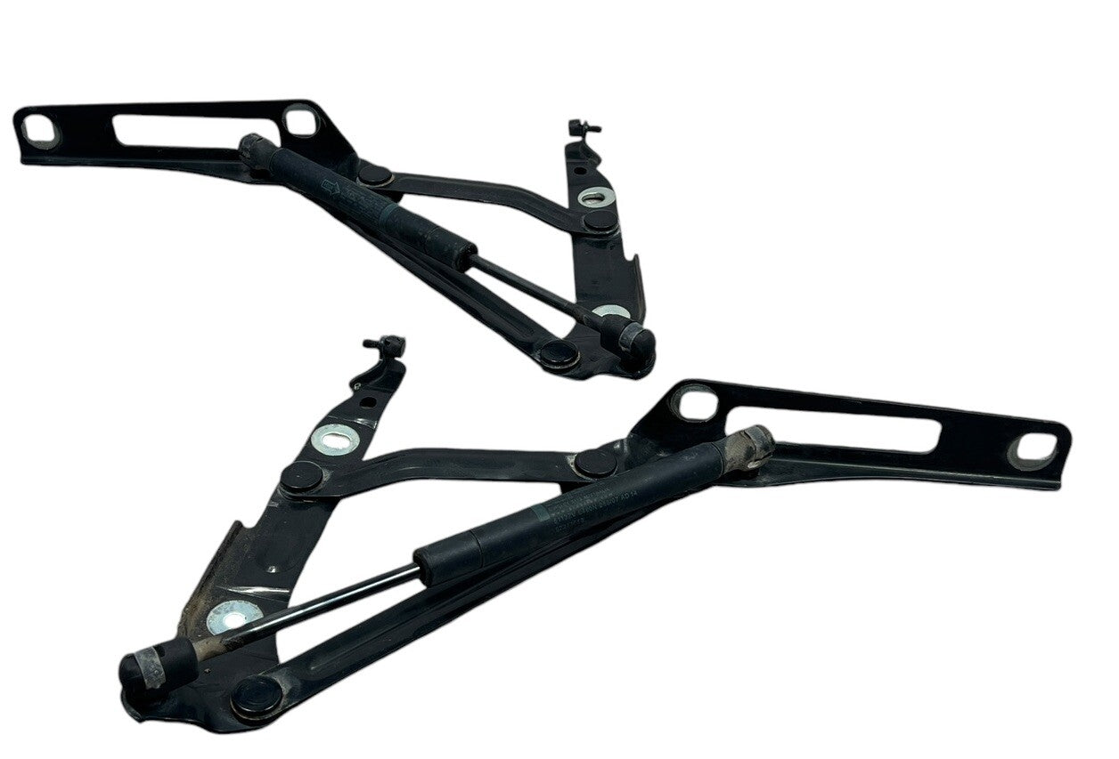 2008-2009 Pontiac G8 Trunk Deck Lid Hinge SET L&R Hinges - BLACK
